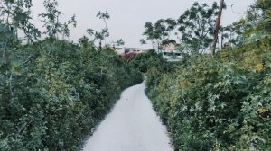 Прогулка по заброшенному зданию...