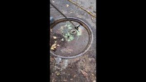 Операция "ЛЮК")