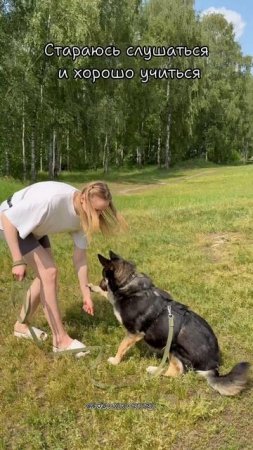 Перчик ищет дом