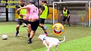Жизнь смешных и уморительных людей 😆  ｜ ПОПРОБУЙ НЕ РАССМЕЯТЬСЯ 😂😁😆 ｜ Мгновенное сожаление