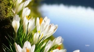 Истории любви - Как фильм разрушил брак....