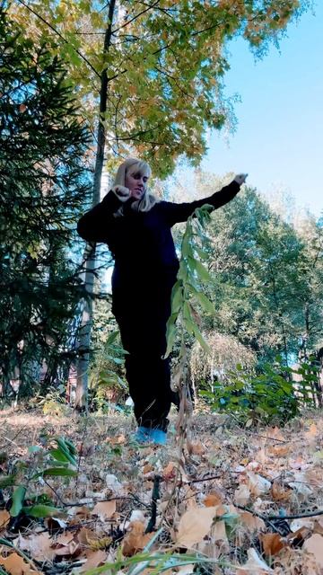 На зарядку становись #music #dance смотреть онлайн