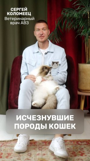 Исчезнувшие породы кошек