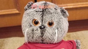 20 идей если будет скучно от Басиков