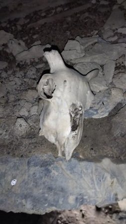 мёртвый город часть 5