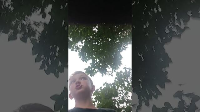 густ туды -суды