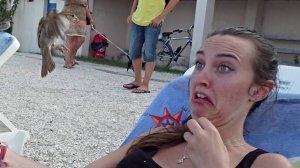 ✔️ СУПЕР НАРЕЗКА ПРИКОЛОВ И НЕУДАЧ 2025 СМОТРЕТЬ ВСЕМ ЧАСТЬ 100