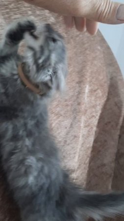 Счастье живет рядом с нами