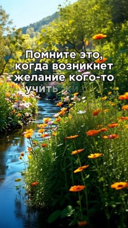 Всякая судьба - неповторима. #психология #мудрость #мотивация #успех #жизнь #счастье #медитация