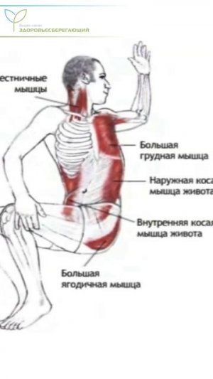 Как быстро успокоить боль в пояснице: это упражнение снимает спазм