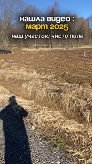 Июнь 2025 vs март 2025