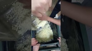 video5429207140273255254