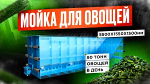 Мойка для овощей от MOREPLAST. Овощемойка промышленная. Машина для мойки овощей