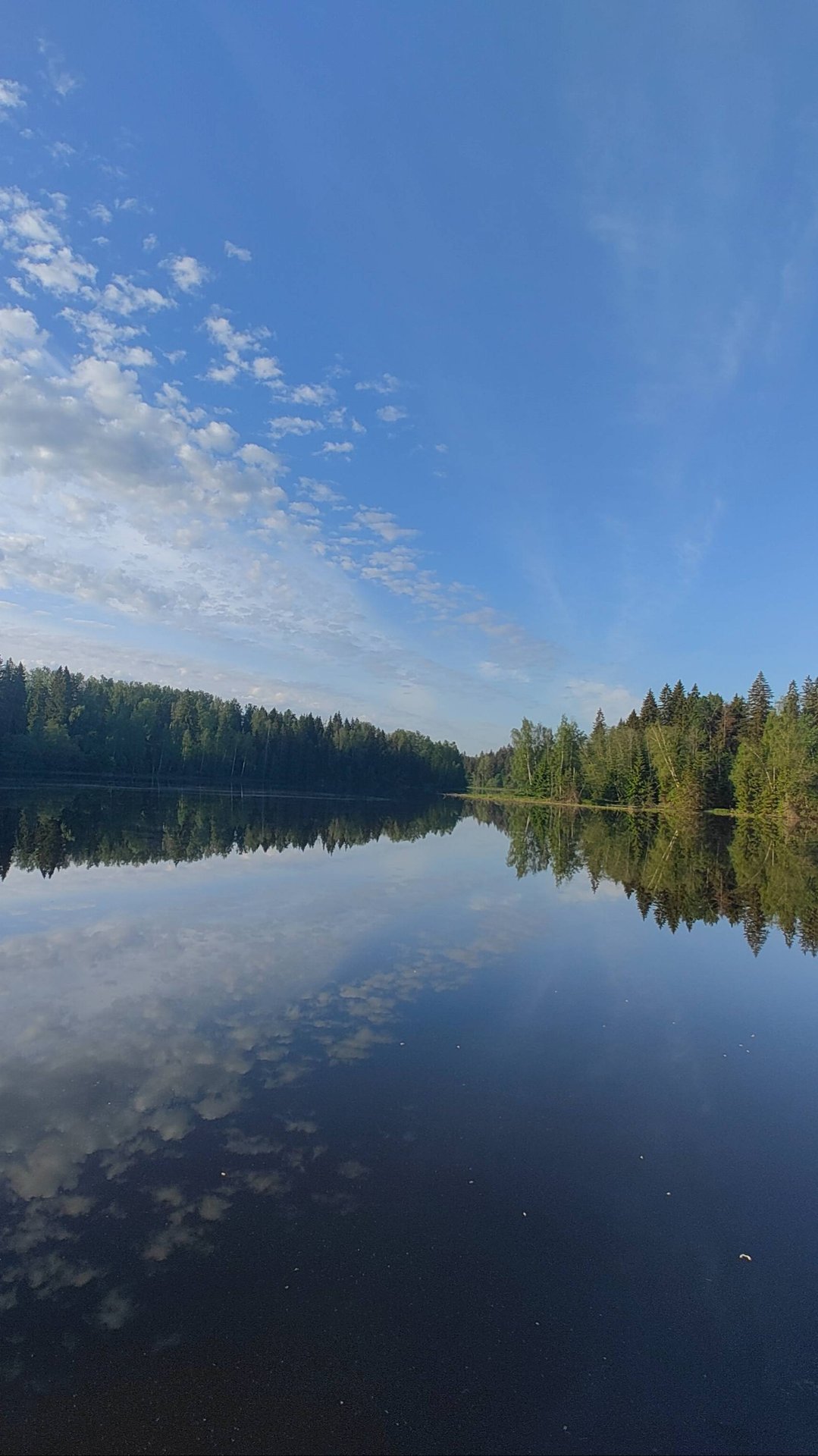 Дом у лесного озера смотреть онлайн