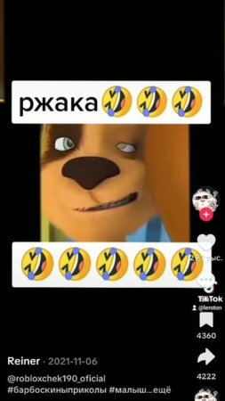 1000008394.mp4