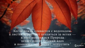 Отпусти