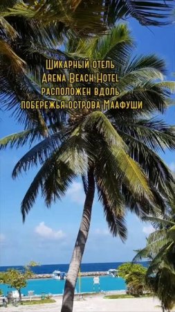 Фитнес йога тур