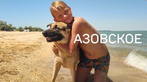 НА АЗОВСКОМ МОРЕ, ДЕТЬ И СОБАЧКИ РАЗВЛЕКАЮТСЯ!