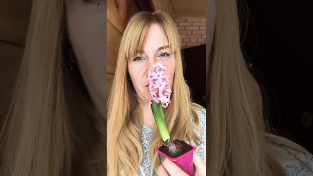 Рецепт весеннего настроения смотреть онлайн