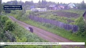 Больше десяти выходов медведей к людям за два месяца зафиксировали в Усть-Илимском районе