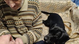Владимир Владимирович Турбин @ Доцент @ К @ Telegram Chibo @ Моя Жизнь Кино 🐕 @ Музей Псов