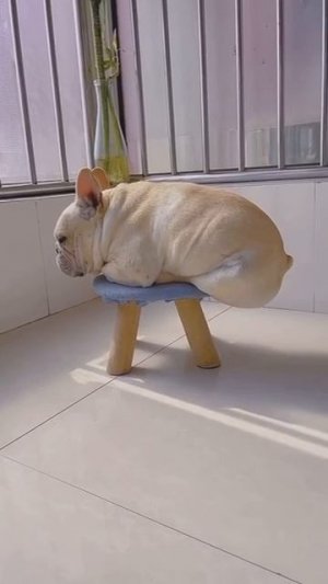 Ему точно удобно?🙈