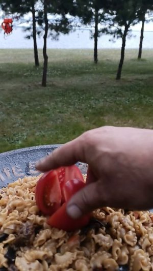 Сибирский Садж