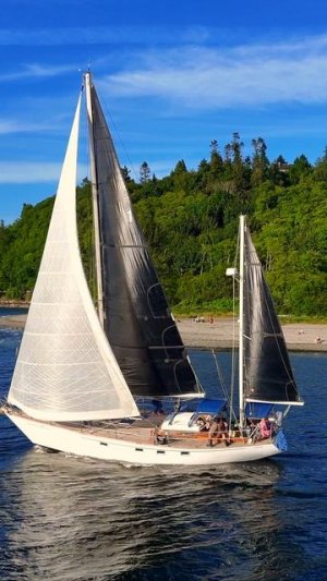 ⛵ На грани столкновения у Golden Gardens!
Посмотрите этот захватывающий момент, когда парусная лодка
