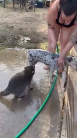 VID_20250707_004359_483.mp4