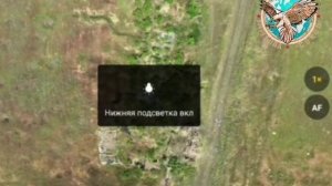 Операторы БПЛА 42-й гвардейской дивизии выжигают позиции противника на Ореховском направлении