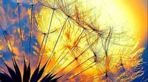 Оригинальное Пожелание Спокойной Ночи ✨ НОВИНКА