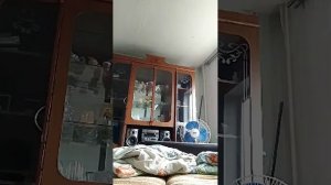 секси попа