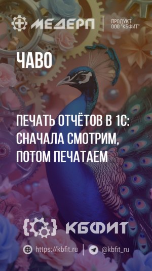 КБФИТ: МЕДЕРП. ЧАВО: Печать отчётов в 1С: сначала смотрим, потом печатаем