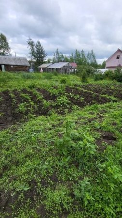 как заработать 10к за день