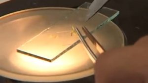 Поволжский государственный технологический университет. Полный фильм