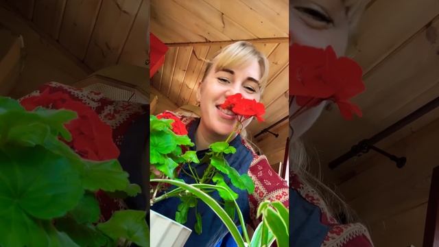 На меня подписываются,ждут вышивальный контент…тем временем я смотреть онлайн