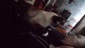 Маленький мой ангел..💞