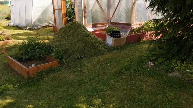 Результат покоса травы! Участок принял ухоженный вид!
