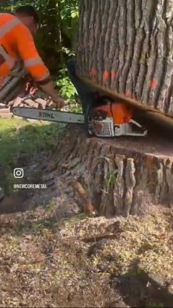 #США Внимание - работают профессионалы 👌