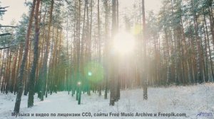 Почему в этом лесу нет птиц - Abandoned House -- Humanfobia + Grime Sisters -- A Shadow in the Mirro