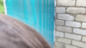 обзор огорода