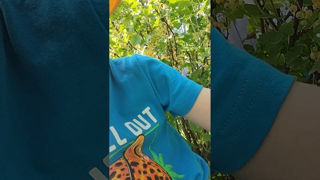 1000011566.mp4