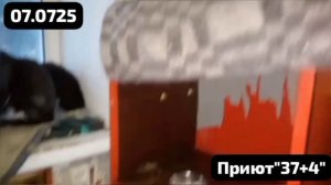 #сезонконтетаRUTUBE

Приют ,где шанс на ЖИЗНЬ ДАЮТ.