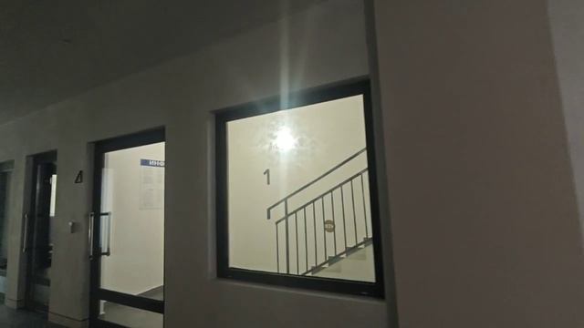 Vidi
