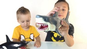 Игрушки для детей Игра Касатка и Акула Видео для детей Family fan game Shark Animal Planet