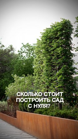 Сколько стоит построить сад с нуля ?