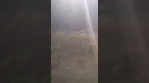 1000008701.mp4