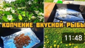 КАК САМОМУ ЗАКОПТИТЬ РЫБУ 🐟 КОПЧЕНИЕ НА ОЛЬХЕ 😋👍👍👍