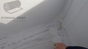 ТПО_кровля_Firestone