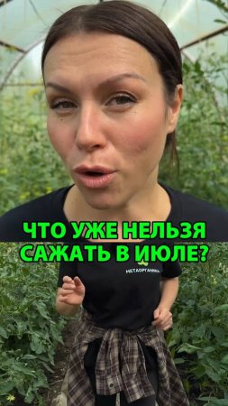 Что уже нельзя сажать в июле на даче?